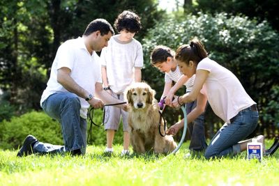 Familienhund Hunderassen dogondo.de
